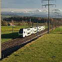 DSC25760  Dans la lumipre basse d'une après-midi de novembre avec la coulisse majestueuse des Alpes bernoises