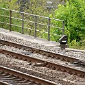 DSC14651  Les nains sont bien utiles quand on attend un train à photographier