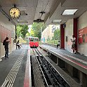 IMG 1512  Une rame arrivant à Römerhof, la station inférieure du Dolderbahn