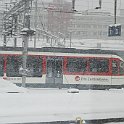 DSC16500  Un moineau dans la neige à Luzern