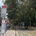 Tram à l'arrêt Bossaert-Basilique