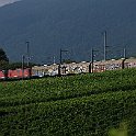 Une UM de Re 420 de CFF Cargo (mais en livrée rouge) avec un train de marchandises dans les vignes entre Auvernier et Colombier
