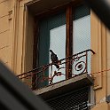 Inspecteur des travaux finis